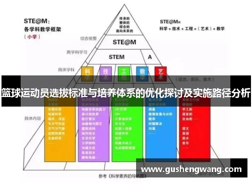 篮球运动员选拔标准与培养体系的优化探讨及实施路径分析