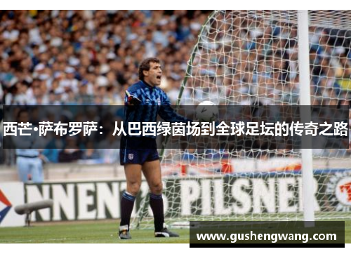 西芒·萨布罗萨：从巴西绿茵场到全球足坛的传奇之路