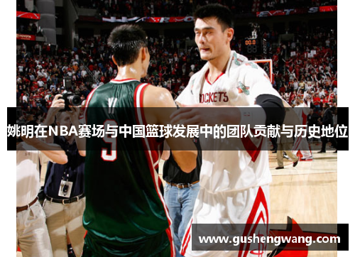 姚明在NBA赛场与中国篮球发展中的团队贡献与历史地位