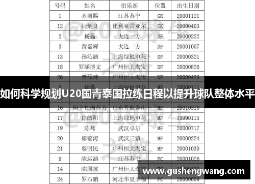 如何科学规划U20国青泰国拉练日程以提升球队整体水平