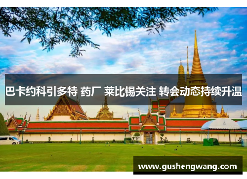 巴卡约科引多特 药厂 莱比锡关注 转会动态持续升温