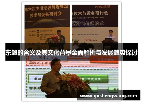 东超的含义及其文化背景全面解析与发展趋势探讨