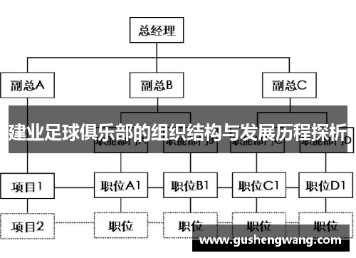 建业足球俱乐部的组织结构与发展历程探析