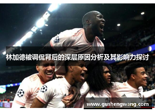 林加德被调侃背后的深层原因分析及其影响力探讨 林加德被调侃背后的深层原因分析及其影响力探讨
