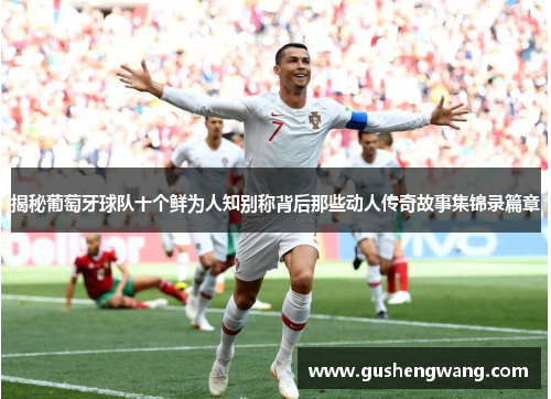 揭秘葡萄牙球队十个鲜为人知别称背后那些动人传奇故事集锦录篇章