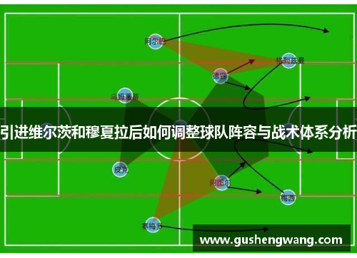 引进维尔茨和穆夏拉后如何调整球队阵容与战术体系分析 引进维尔茨和穆夏拉后如何调整球队阵容与战术体系分析