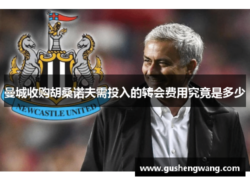 曼城收购胡桑诺夫需投入的转会费用究竟是多少